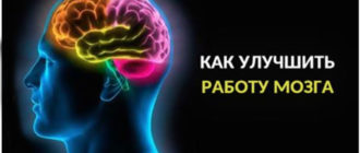 Продукты полезные для мозга и памяти